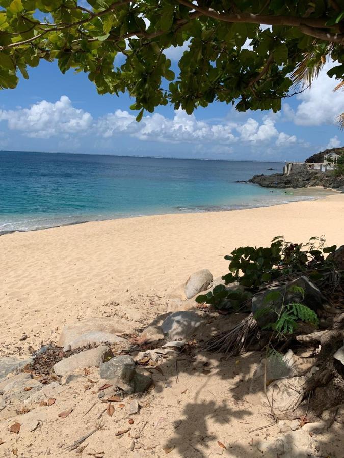 St Martin Nettle Bay Lovely Appartment Sandy Ground ภายนอก รูปภาพ